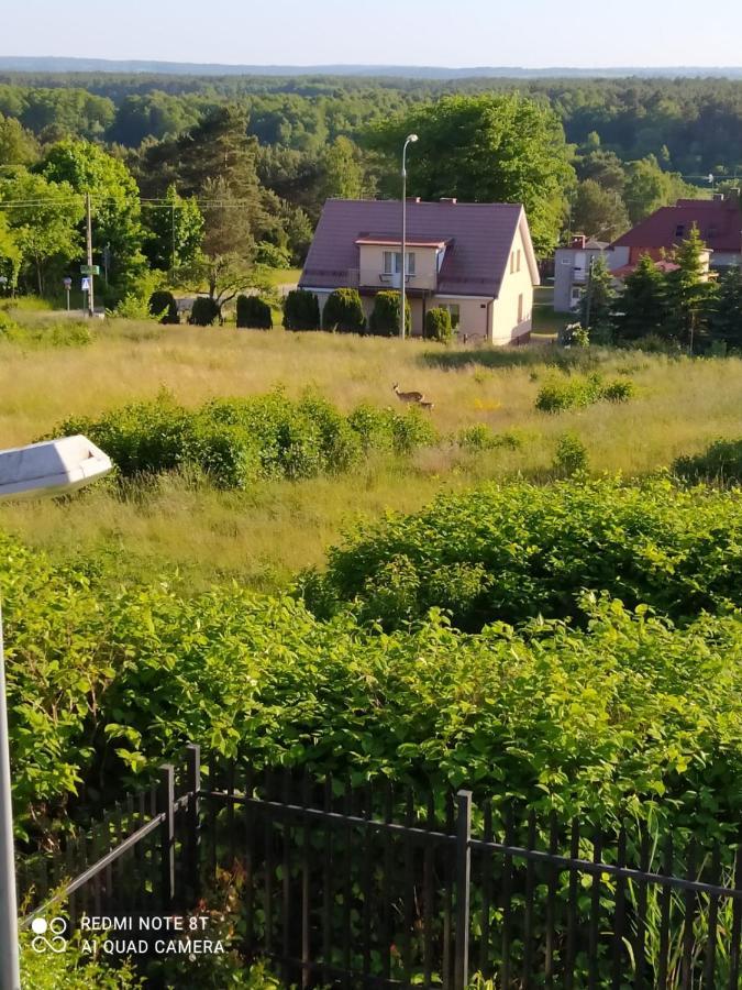Appartamento Mocik Jastrzębia Góra Esterno foto